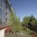 Rain Garden